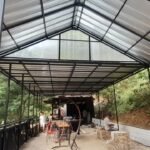 whatsapp image 2023 08 24 at 17.02.51